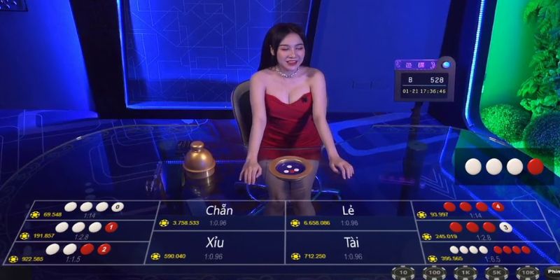 Xóc đĩa được KU Casino lên kèo liên tục phục vụ người chơi.